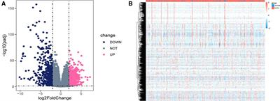 A seven-gene prognosis model to predict biochemical recurrence for prostate cancer based on the TCGA database